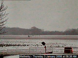 Snow on Wetherby Racecourse